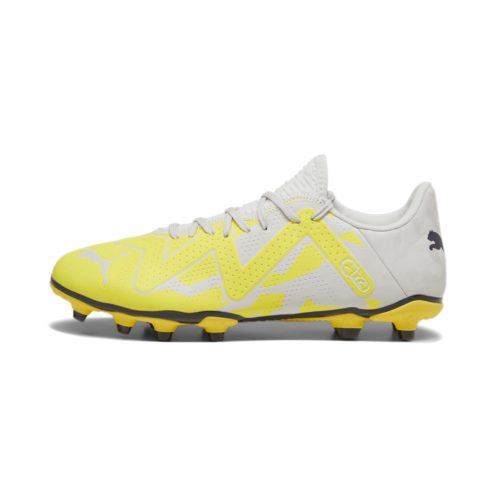 PUMA Future Play FG/AG
