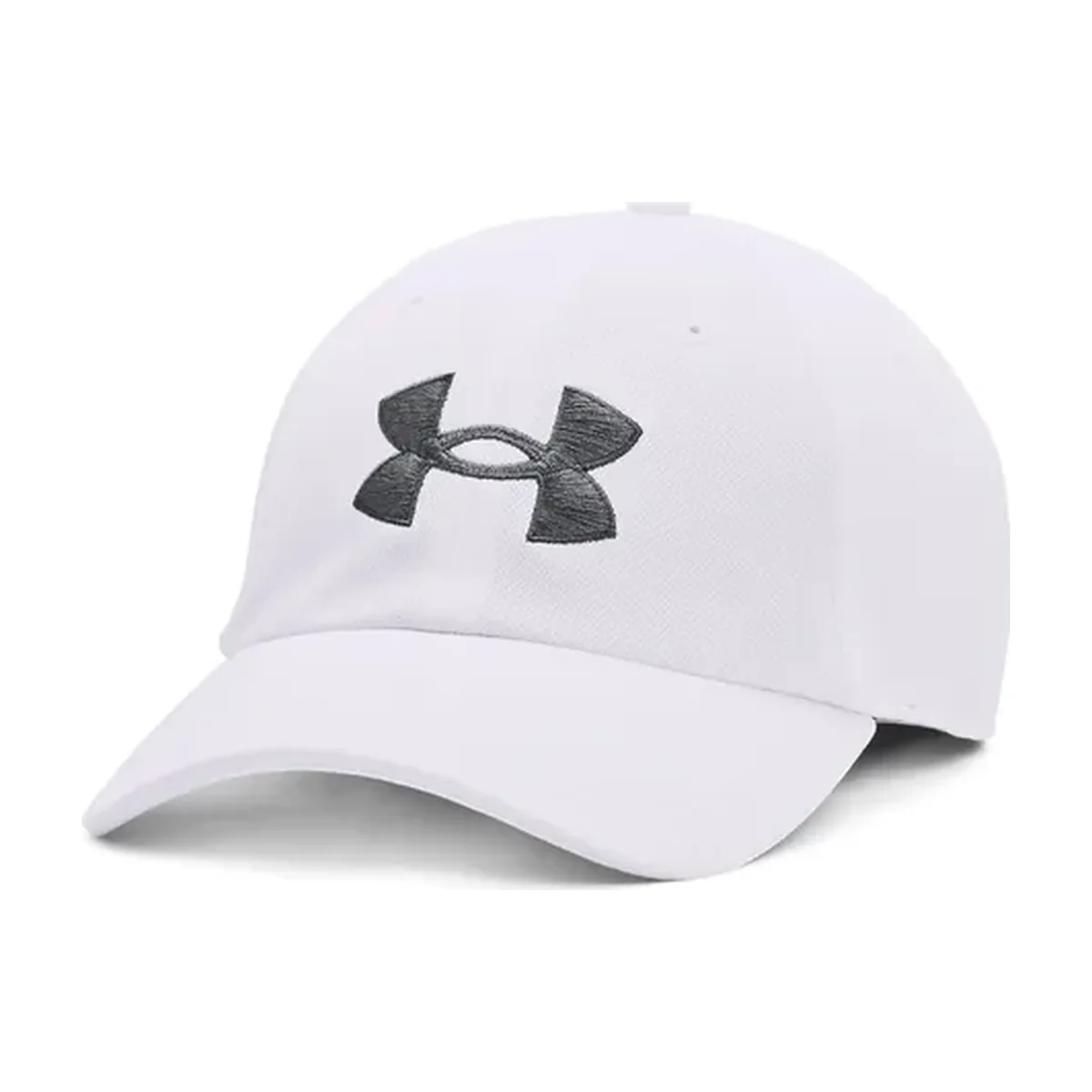 Gorra Under Armour