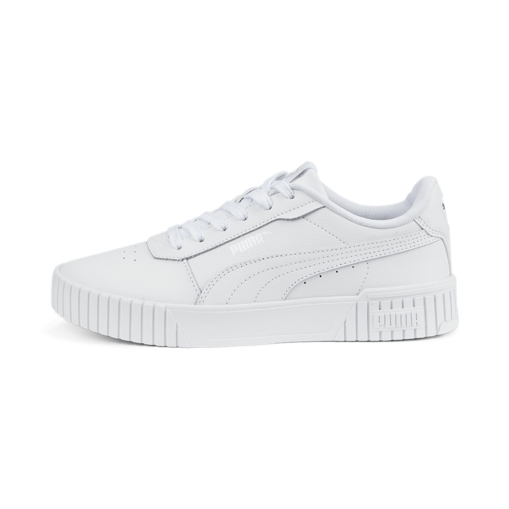 Blanco/Plata