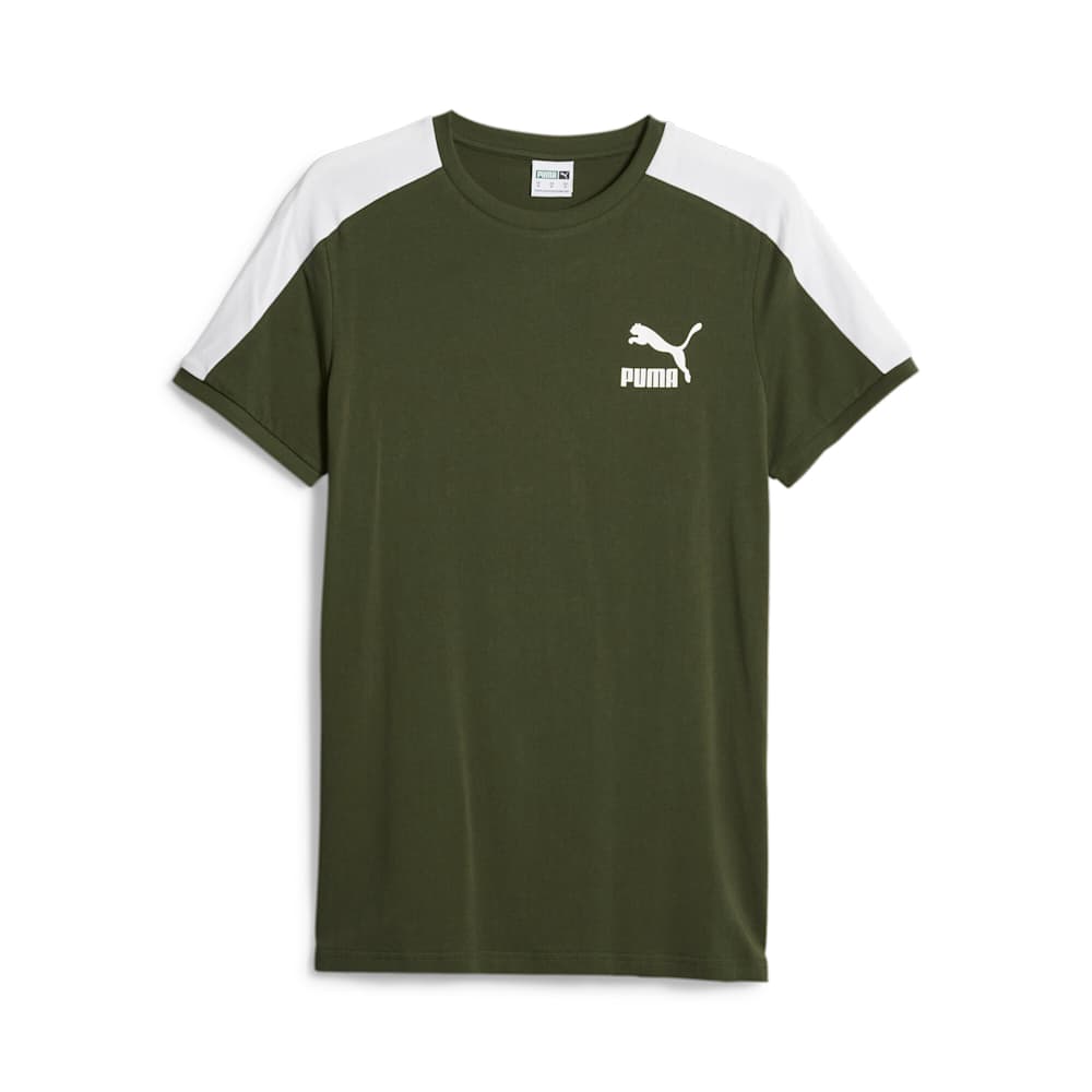 Verde oliva