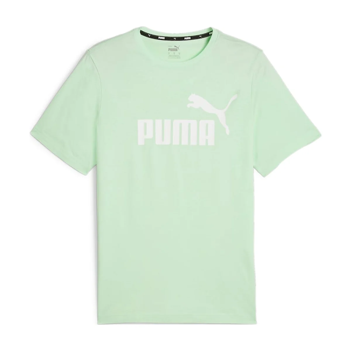 Menta