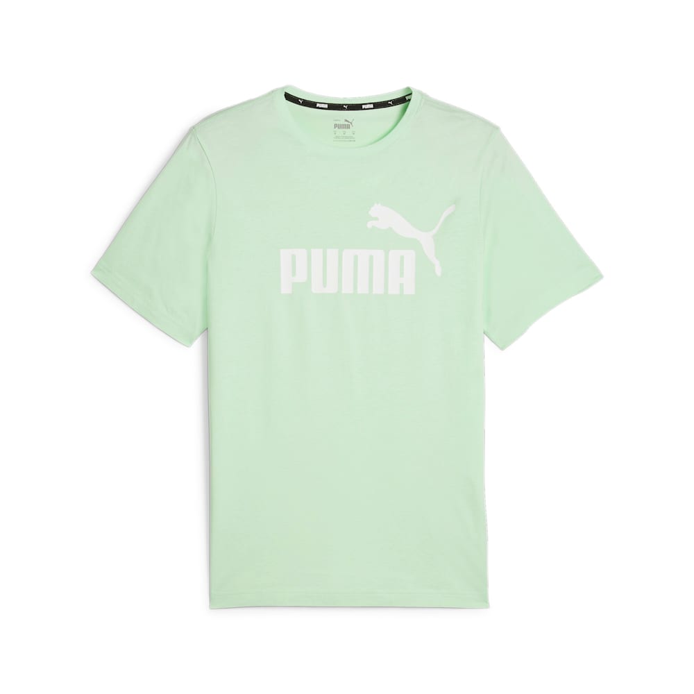 Menta