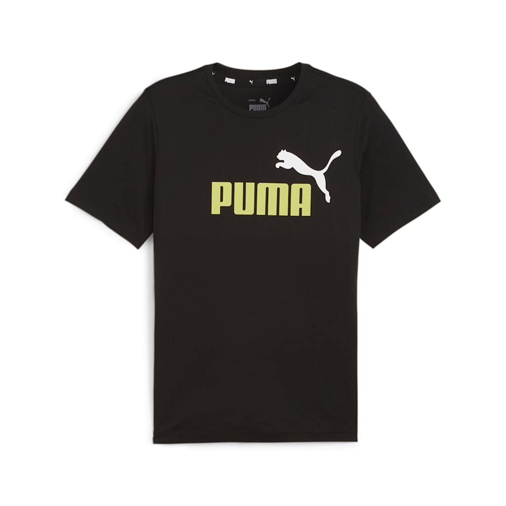 Negro/Verde