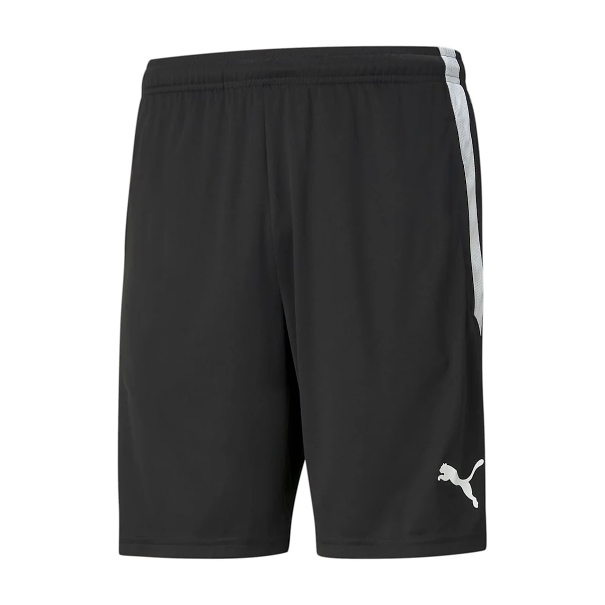 teamLIGA Training Shorts