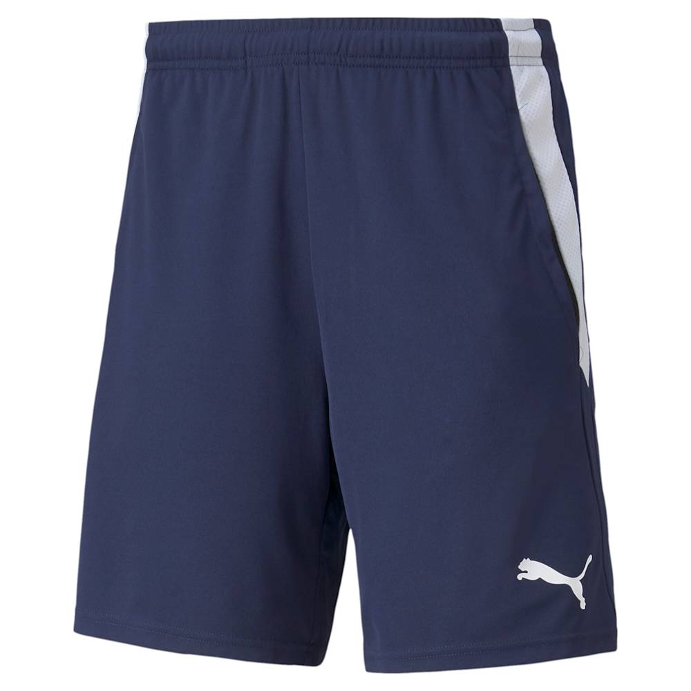 teamLIGA Training Soccer Shorts 2