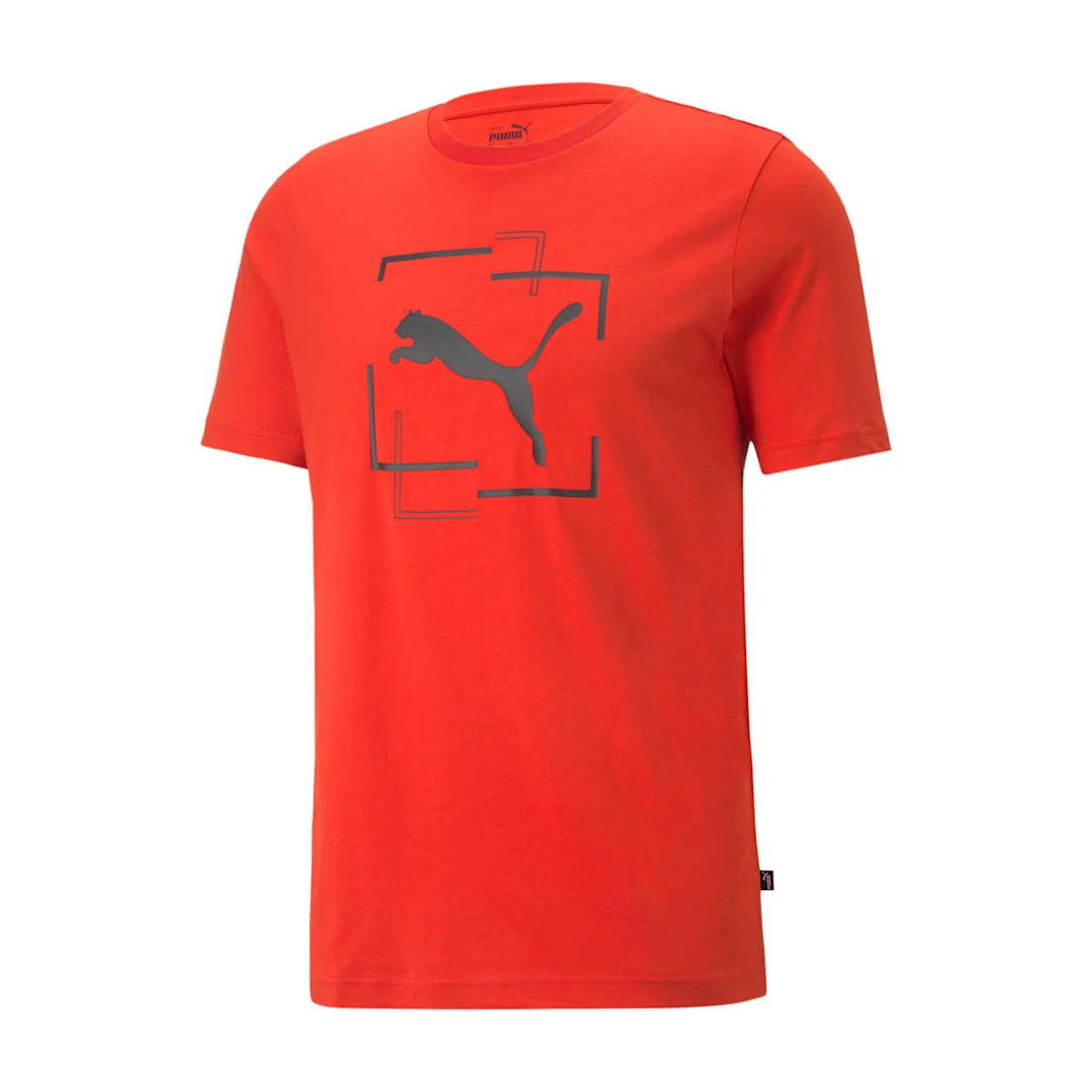 Cat Graphic Tee