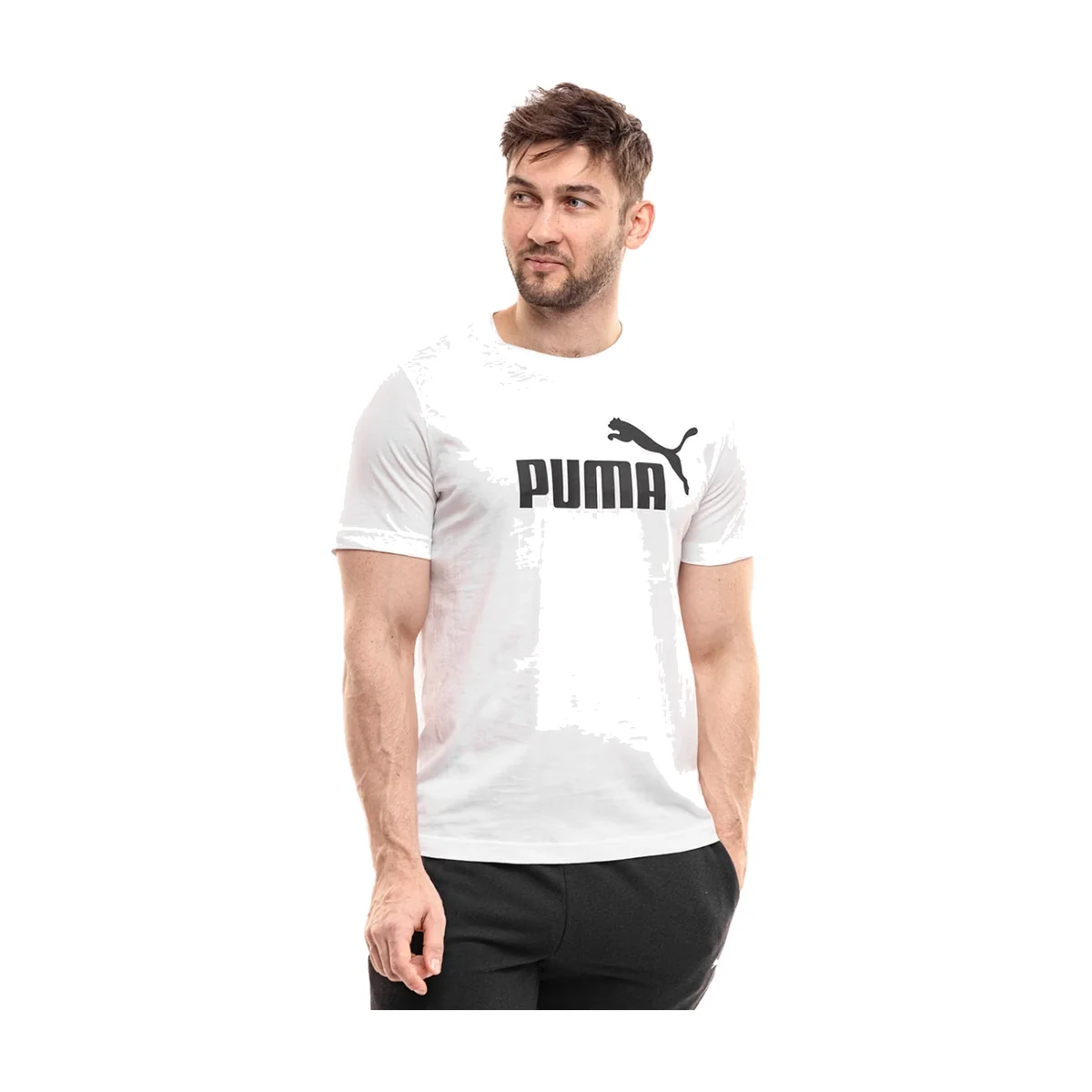 Camiseta PUMA Essentials No. 1 Logo Hombre