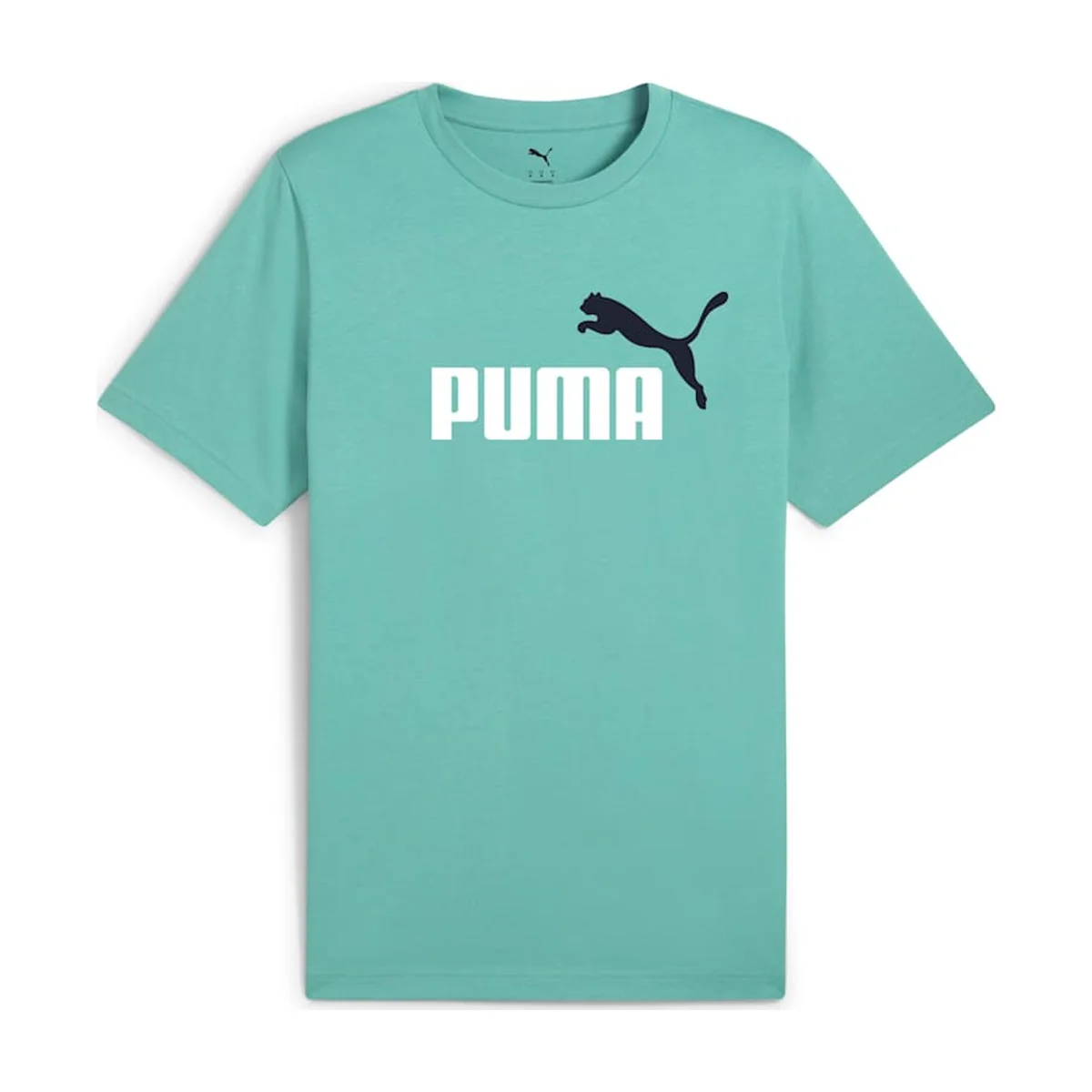 Menta