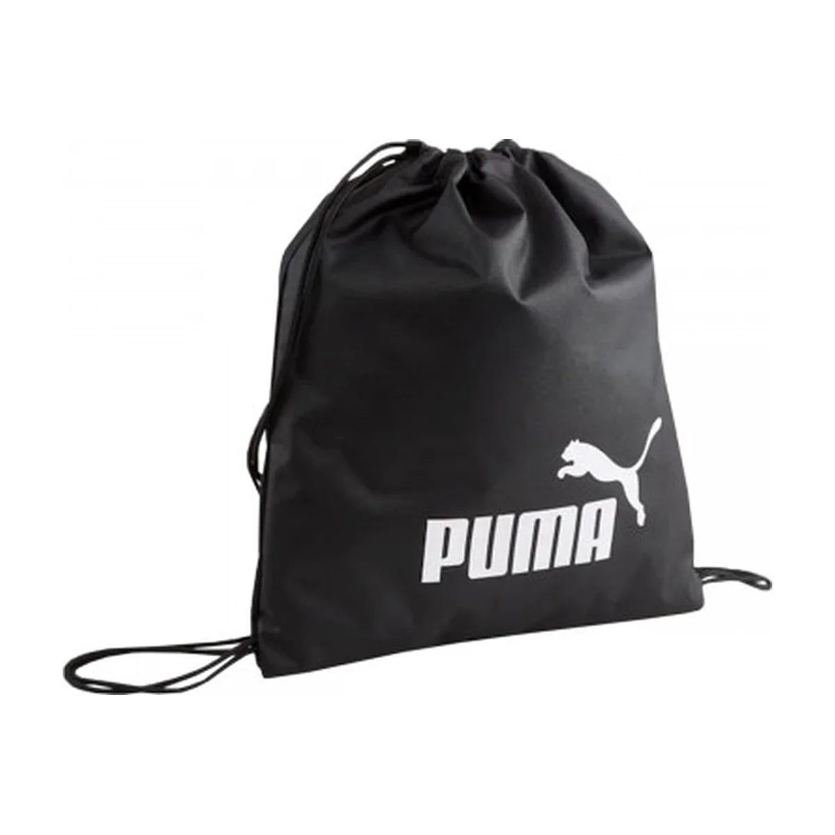 Tula PUMA Phase