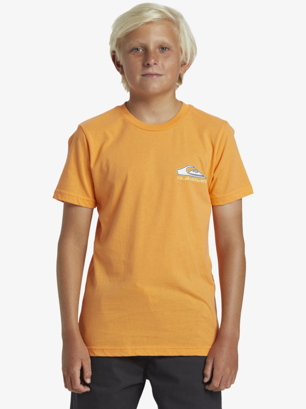 Camiseta Quiksilver