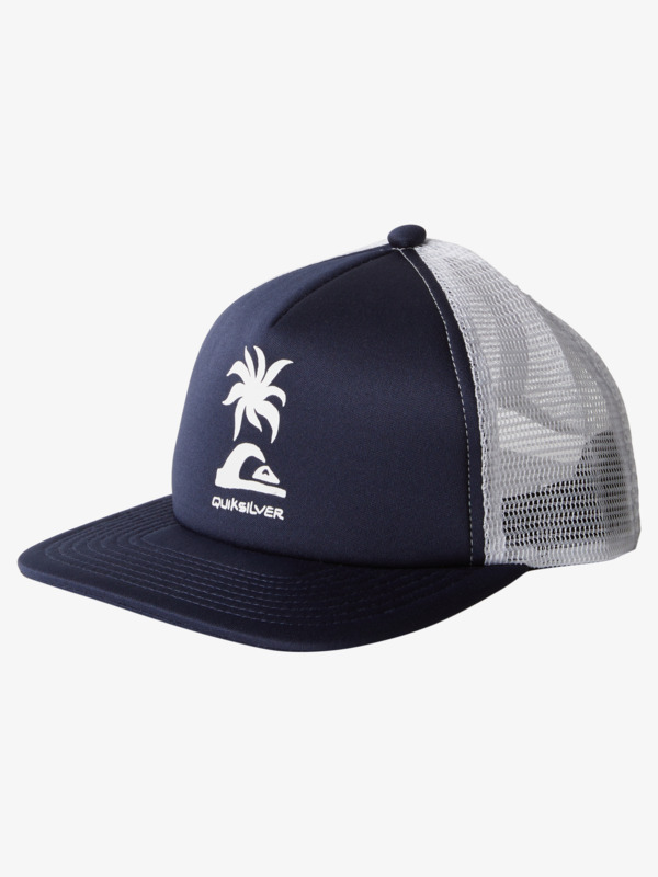 Gorra Quiksilver Slab Scratch