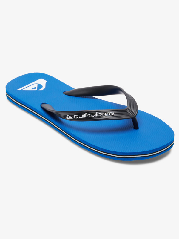 Chancletas Quiksilver Molokai Core
