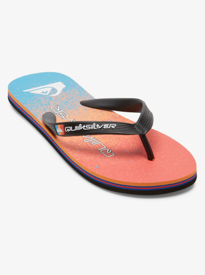Chancletas Quiksilver Molokai Art II