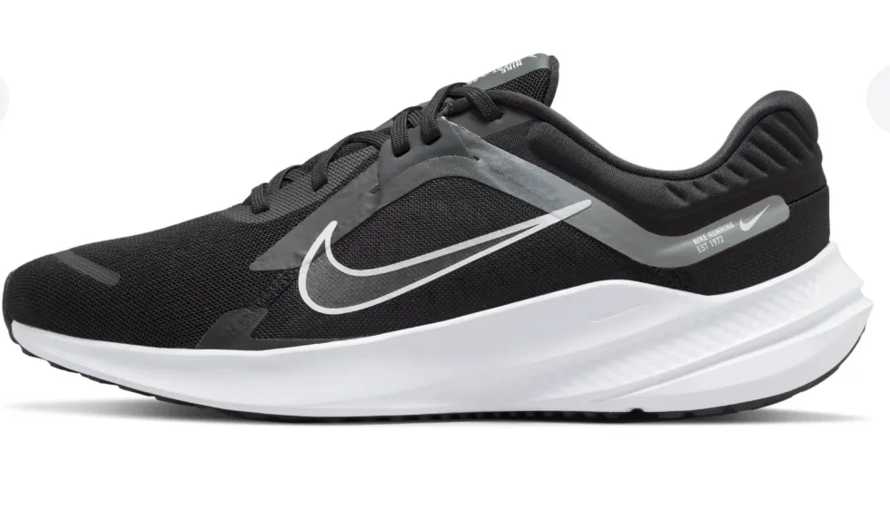 Nike Quest 5