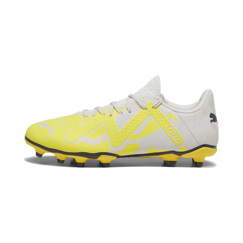 PUMA Future Play FG/AG